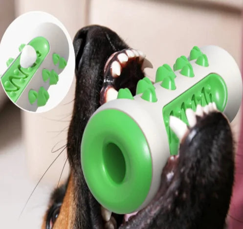 Kauspielzeug für Hunde – Spielzeug zur Zahnreinigung und Zahnfleischmassage