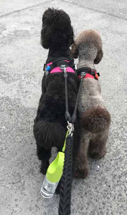 Accompanying Pet Cup – A kutyák prémium utazó kulacsa