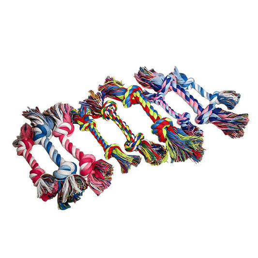 Dog Bites Rope