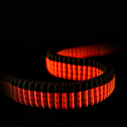 Dog Harness and Leash for Medium to Large Breeds