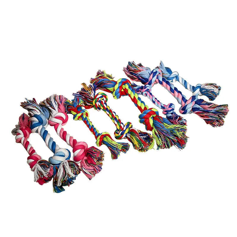 Dog Bites Rope