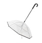 Transparent Dog Umbrella for Pets and Accessories