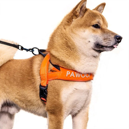 Dog Harness and Leash for Medium to Large Breeds