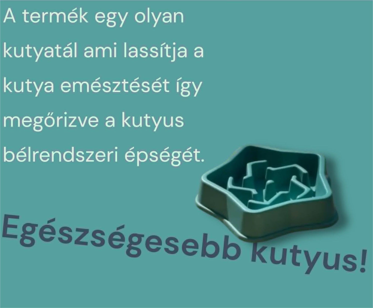 Emésztést elősegítő kutyatál