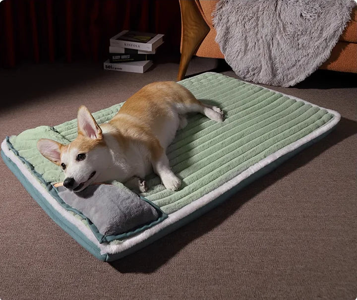 Téli meleg kutya és macska alvószőnyeg kennel párna